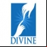 Divine Vision Network