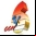 CCN TV6